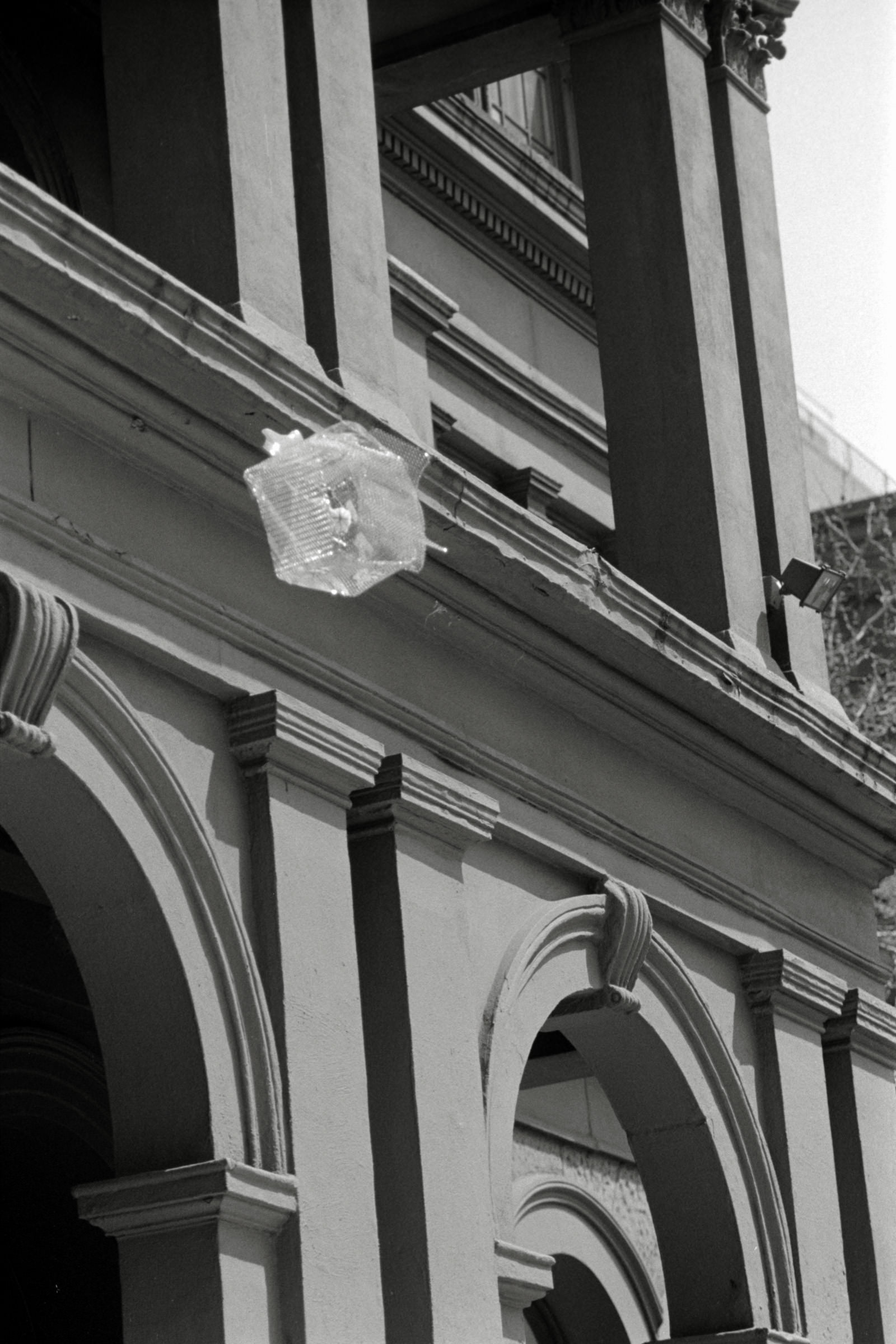 AHP F1995 04 006 sc240817 img37 NLP